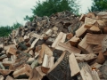 Работа като дървоцепач - борса дърва за огрев, снимка 2