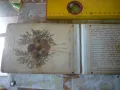 Стара книга за растения, снимка 5