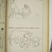 Боби - хоби книга за кучета, снимка 2 - Енциклопедии, справочници - 45303397