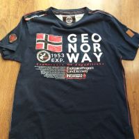 geographical norway - страхотна мъжка тениска ХЛ, снимка 4 - Тениски - 45135364