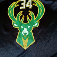 Баскетболна тениска#34Gianis Antetokounmpo Milwaukee Bucks NBA размер ХЛ, снимка 2 - Баскетбол - 45625832