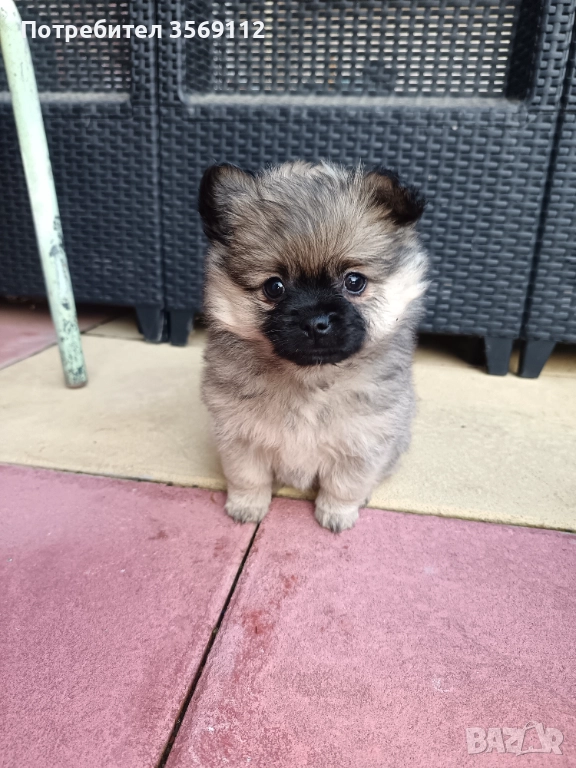 Продавам, снимка 1