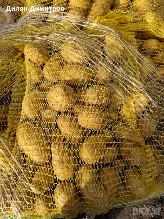 Картофи за консумация 10кг гаци 0.65лв/кг, снимка 1