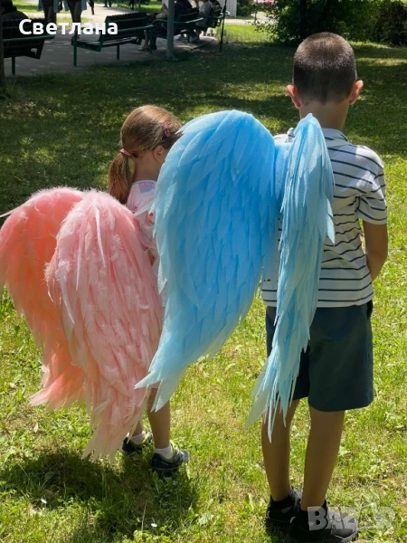 ангелски крила, снимка 1
