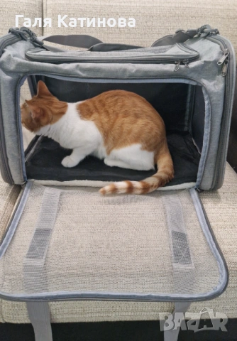 Чанта за носене на домашни любимци, снимка 7 - Други стоки за животни - 53080970