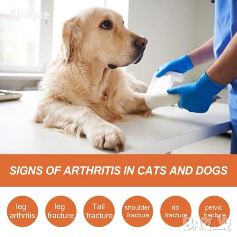 Пчелен екстракт за облекчаване на болки в ставите за домашни любимци Bee venom extract, снимка 2 - За кучета - 52864741