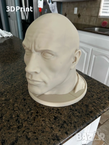 The Rock Bust / Скалата бюст