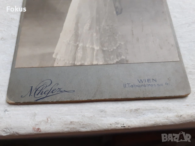 Стара снимка Австрия - дебел картон - жена, снимка 3 - Антикварни и старинни предмети - 53306971