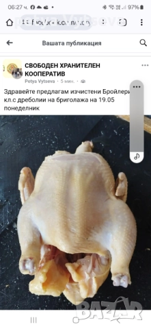 Продавам пилета, снимка 3 - Кокошки и пуйки - 52345402