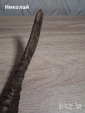 Стар Рог от Коза , снимка 8 - Антикварни и старинни предмети - 54175315