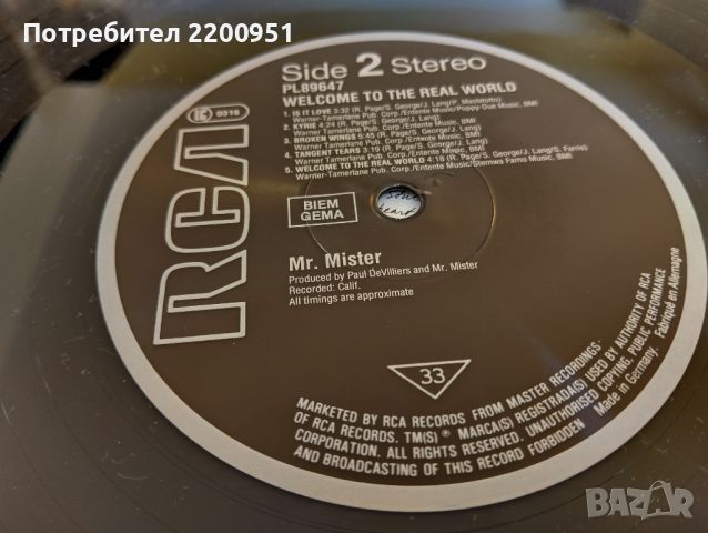 MR. MISTER, снимка 11 - Грамофонни плочи - 46112018