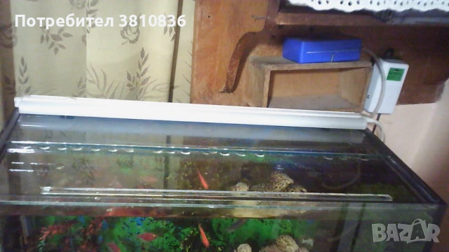 Аквариум , снимка 4 - Аквариуми - 50773854