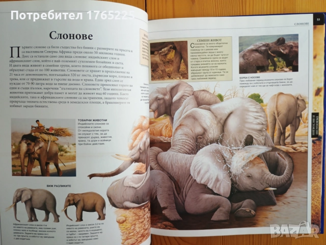 Детска енциклопедия+албум с карти, снимка 4 - Енциклопедии, справочници - 52596381