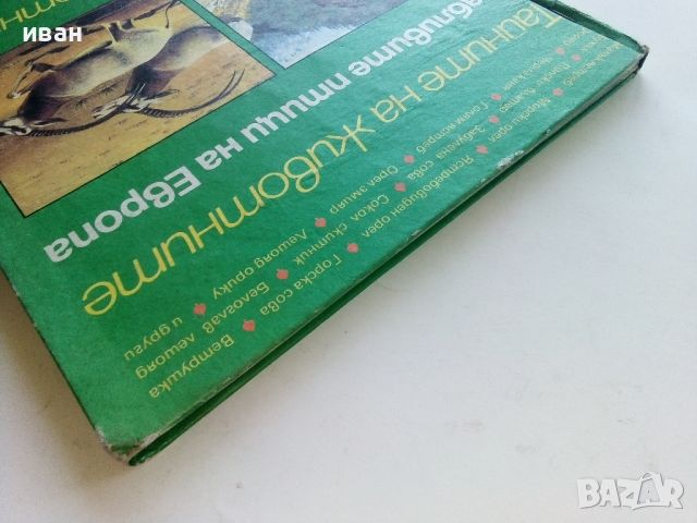 Тайните на животните - Грабливите птици на Европа/В пустинята  - 1990г., снимка 12 - Енциклопедии, справочници - 45622704