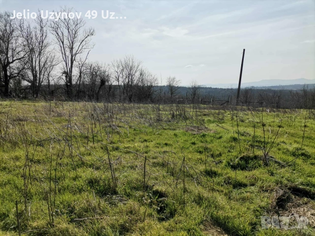 Продавам имот село Юнак Варненско, снимка 6 - Парцели - 53769802