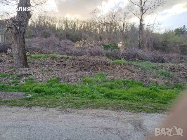 до трансформатор / паднала къща / терен / градина / имот / парцел 1790кв.м в с. Ветрен / обл. Силист, снимка 4 - Къщи - 49801463