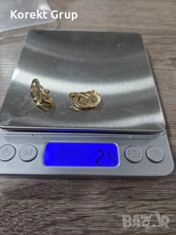 Златни обеци , снимка 5 - Обеци - 52842491
