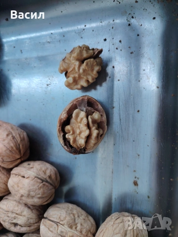 Орехи Чандлър , снимка 3 - Домашни продукти - 54244086