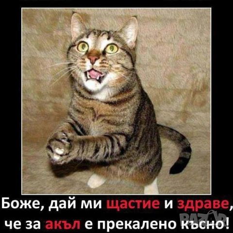 Внимание! Измамник