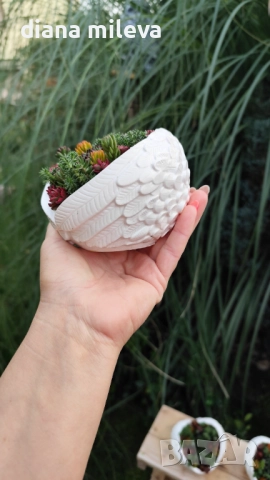 Гипсокерамични крила с формата на сърце и с живи студоустойчиви сукуленти!, снимка 2 - Декорация за дома - 52435989