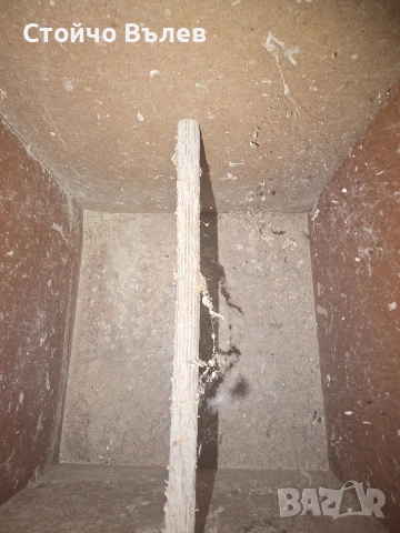 Люпилки за вълнисни папагали и корели, снимка 9 - За птици - 53140970