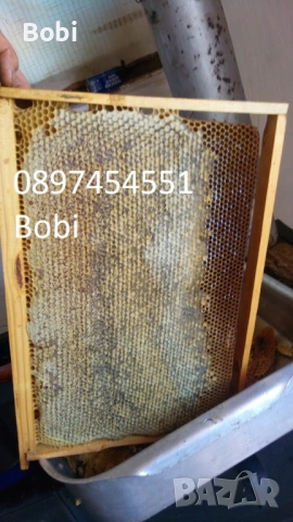 Малки Пчелни Семейства Отводки, снимка 7 - За пчели - 54058330