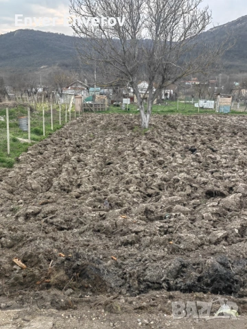 1000 кв., снимка 3 - Парцели - 53898897