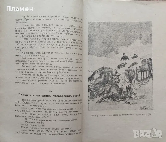 Между ескимосите К. Носиловъ /1930/, снимка 4 - Антикварни и старинни предмети - 48571676