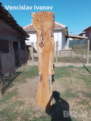 Сух ян от Черница, снимка 2 - Градински мебели, декорация  - 53236370