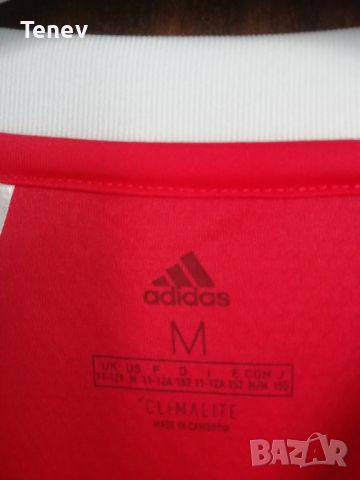 Benfica Adidas оригинална нова детска тениска фланелка Бенфика 11-12г - 152 cm, снимка 4 - Детски тениски и потници - 45903970