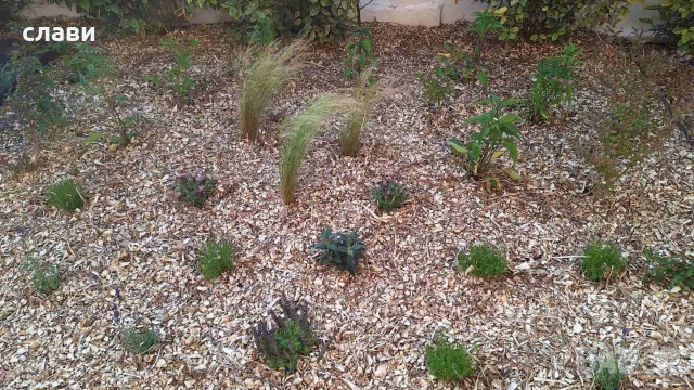 Дървесен чипс / Мулч / Черница , снимка 12 - Оранжерии - 53778872