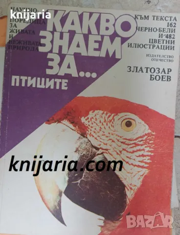 Какво знаем за... птиците