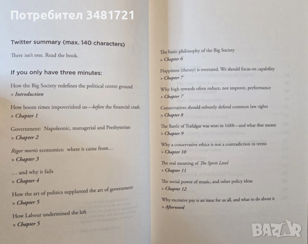 The Big Society. The Anatomy of the New Politics, снимка 2 - Художествена литература - 53519414