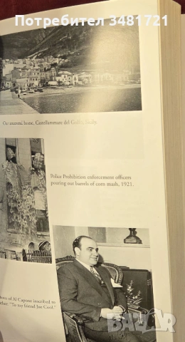 Мафия - последните тайни на кръстника / Mafia. The Final Secrets, снимка 4 - Художествена литература - 54167764
