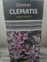 Клематис три цвята, снимка 4