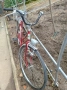 Колело с багажник и фар, снимка 7