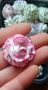 Гипсо-керамични розички , снимка 1 - Изкуствени цветя - 45288052