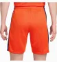 Netherlands 2024 Men's Nike Dri-FIT Football Shorts, снимка 2