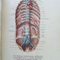 Атлас анатомии человека  том 2 - Р.Д.Синельников - 1956г., снимка 6 - Специализирана литература - 45536071
