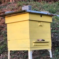 3 кошера, нова центрофуга и други пчеларски принадлежости, снимка 1 - За пчели - 45162293