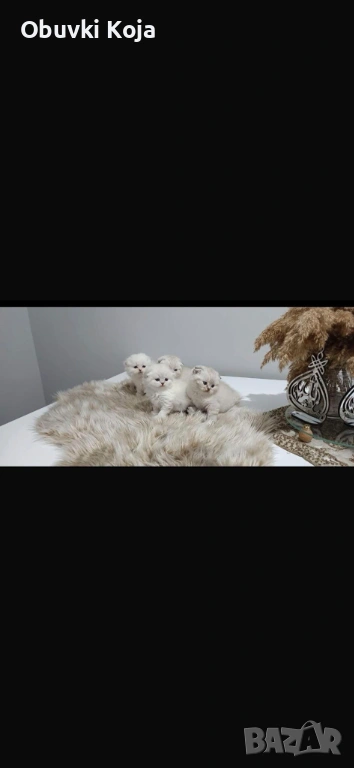 Не са красиви ами просто са уникалени последни 2 момченца, снимка 1