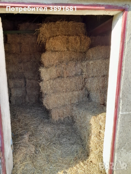Бали сено, снимка 1