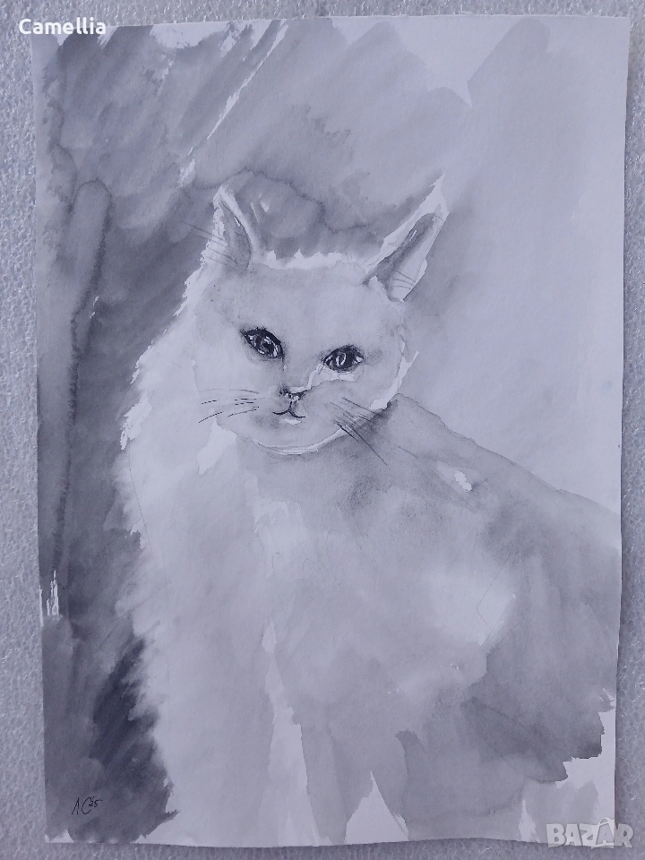 Картина: "Бяла котка" акварел , снимка 1