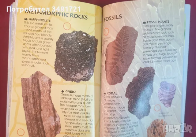 Справочник - скали и минерали / Rocks & Minerals Usborne Spotter's Guides, снимка 8 - Енциклопедии, справочници - 47236094