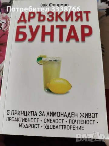 Книга "Дръзкият бунтар", снимка 1 - Други - 46939492