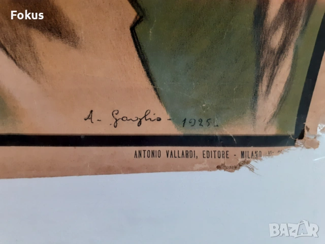 Много стар плакат антропологичен печат Човешките раси 1925г., снимка 2 - Антикварни и старинни предмети - 53408579