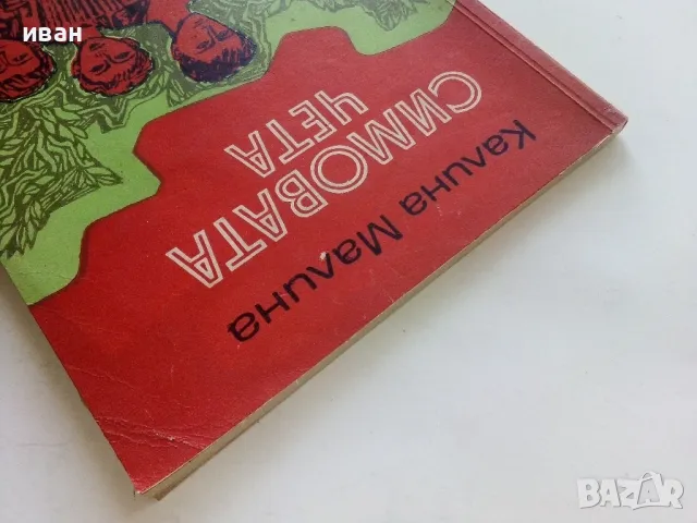 Симовата чета - Калина Малина - 1973г., снимка 8 - Детски книжки - 50222741
