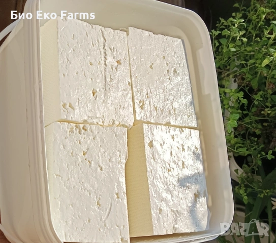 Сирене и кашкавал домашни зрели пасищни , снимка 5 - Домашни продукти - 53763132