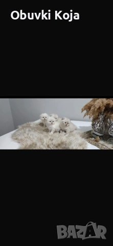 Не са красиви ами просто са уникалени последни 2 момченца