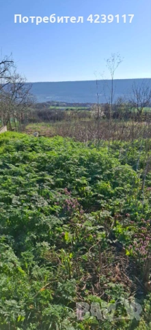 Собственик продава Дворно Място в с. Рогачево, снимка 7 - Парцели - 54112941